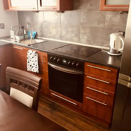 Apartment Blue River - Ul Ciepla - Near Pkp And Aquapark *